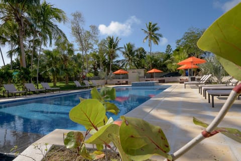 Pool view, Swimming pool, sunbed