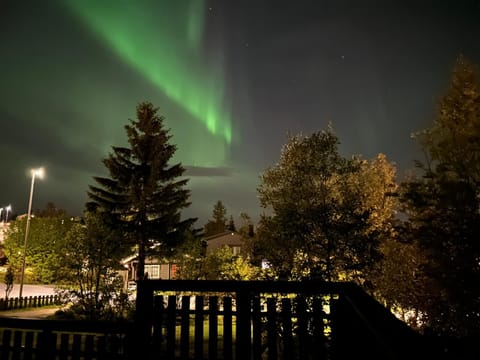 House in the lights and Aurora House in Tromso