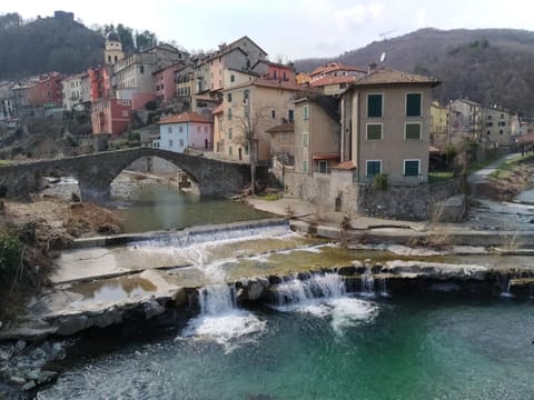 Nearby landmark, Natural landscape