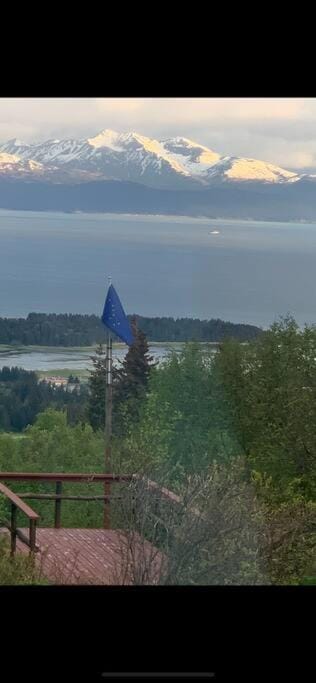 Raspberry Cottage House in Homer