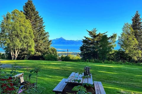 Raspberry Cottage House in Homer