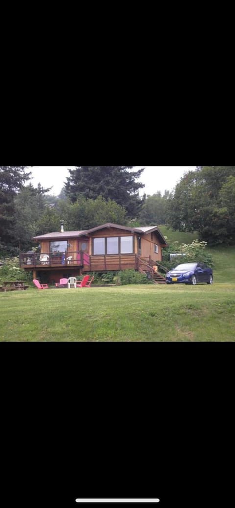 Raspberry Cottage Casa in Homer