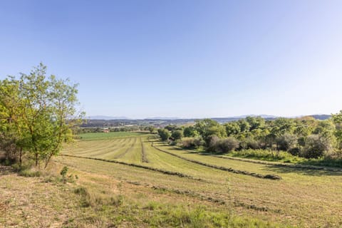 Natural landscape, Garden