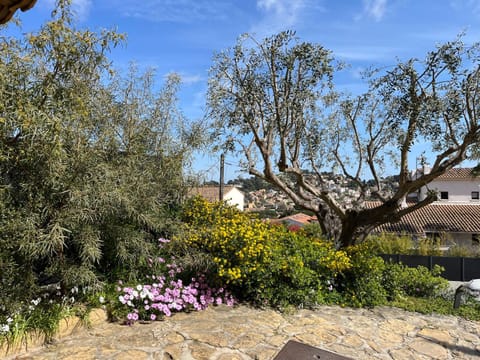 Garden, Garden view