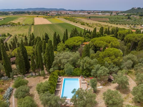 Villa I Tigli Apartment in San Vincenzo