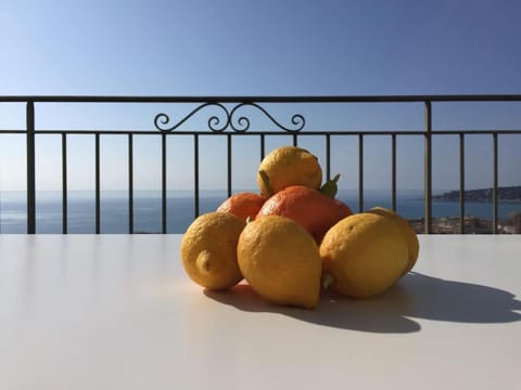 Magnifique Villa d'époque vue mer sur les collines Mentonnaises Villa in Menton