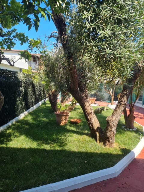 Il Giardino di Circe Bed and Breakfast in San Felice Circeo