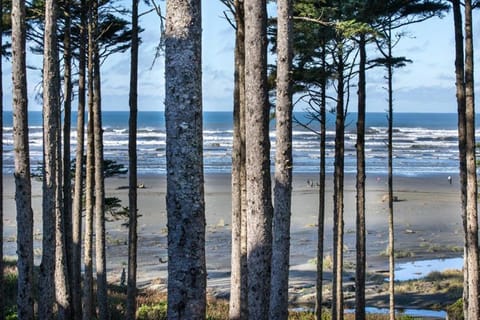 Spring, Day, Natural landscape, Beach, Sea view