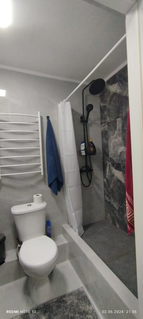 Shower, Toilet, towels