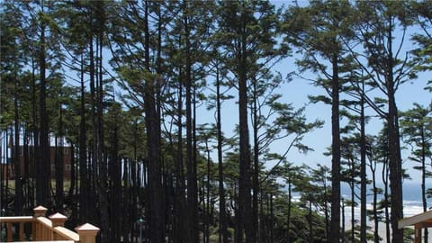 Natural landscape, View (from property/room), Balcony/Terrace