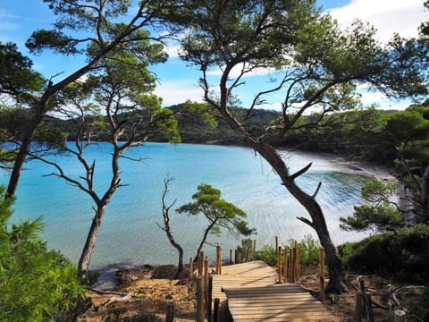 Natural landscape, Beach