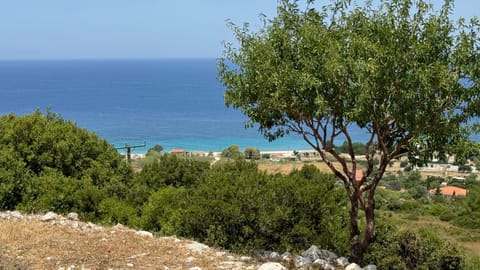 Natural landscape, Garden, Sea view