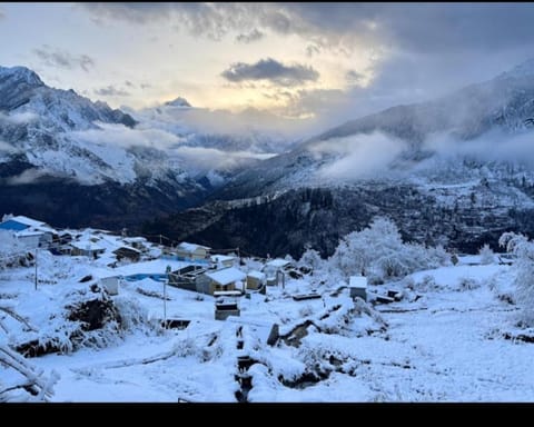 Pangrchulla homestay Apartment in Uttarakhand