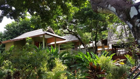 Khao Sok Jungle Huts Resort Resort in Khlong Sok