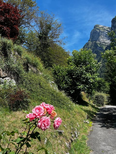 Garden, Garden view