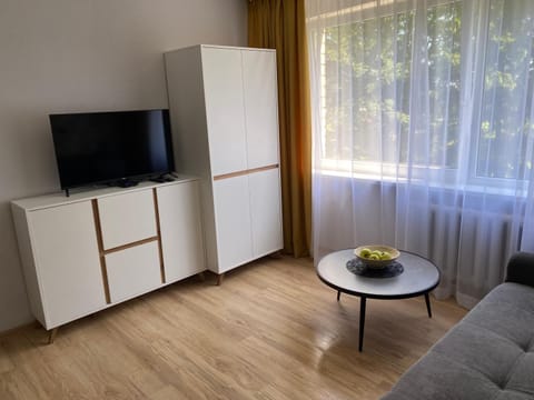 Jaukus butas Klaipėdos mieste Apartment in Klaipėda