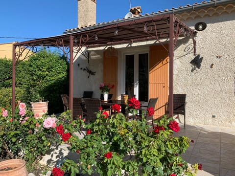 Patio, Spring, Garden, Garden view