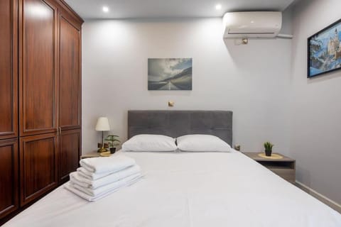 Majestic and spacious apartment near Acropolis Apartment in Athens