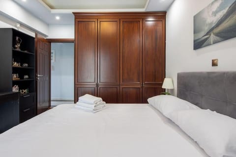 Majestic and spacious apartment near Acropolis Apartment in Athens