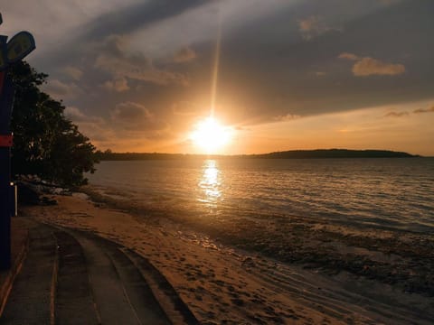 Natural landscape, Beach, Sunset