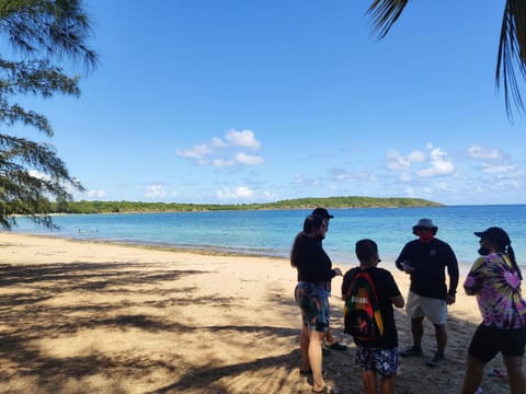 Beach, Hiking