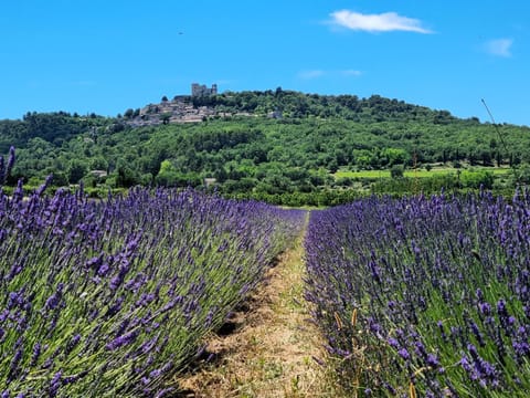 Mas Les Fabrys au coeur du Luberon House in Bonnieux