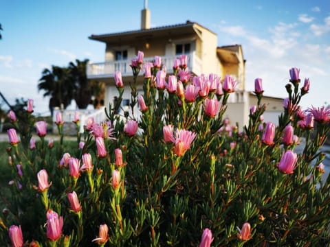 Property building, Spring, Day, Garden, Garden view