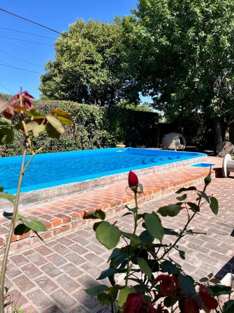 Spring, Garden, Garden view, Pool view, Swimming pool