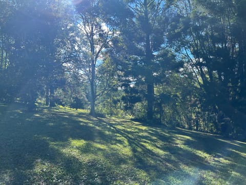 The Hemp Hut Studio House in Bellingen