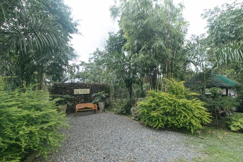 Garden, Garden view