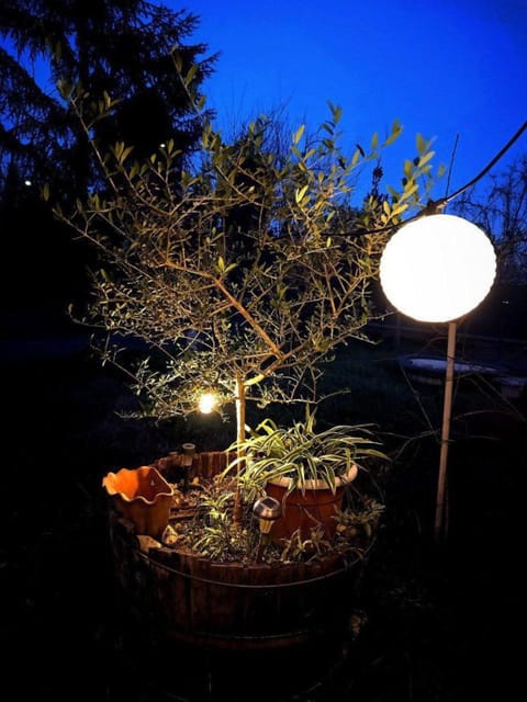 Night, Garden