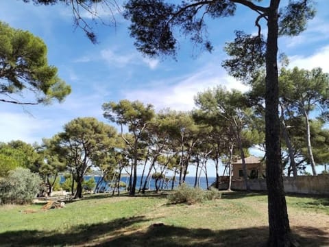 Studio calme cadre nature à proximité des plages Apartment in La Seyne-sur-Mer