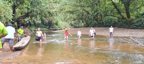 People, Natural landscape, River view, group of guests