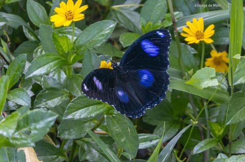 Intan sidemen villa Bed and Breakfast in Sidemen