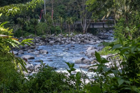 Intan sidemen villa Bed and Breakfast in Sidemen