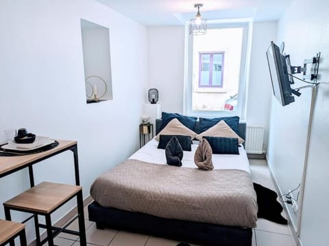 Le Cosy au pied du Château-Centre Ville Apartment in Montbéliard