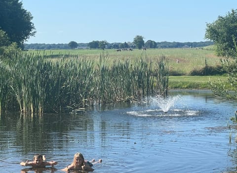 CAMPING PITCH with electricity bring you're OWN CARAVAN OR TENT Campground/ 
RV Resort in Drenthe (province)