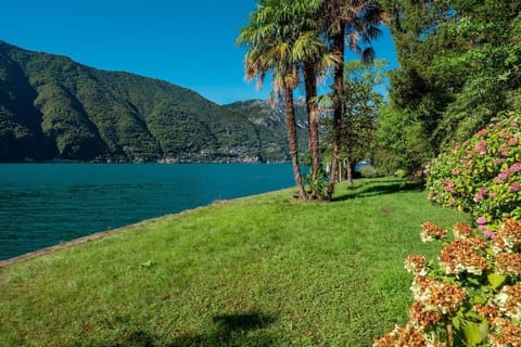 Secluded Cottage front Lake with BOAT Villa in Lugano