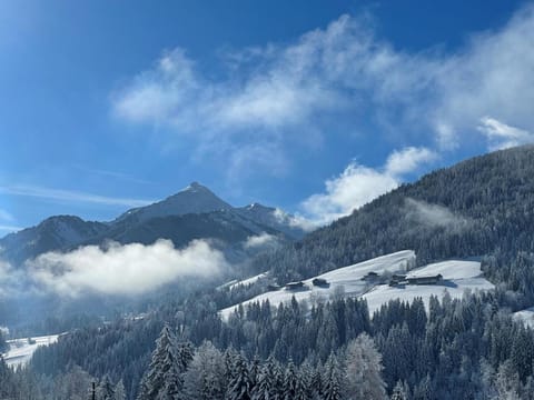 Winter, View (from property/room)