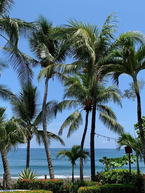 Garden, Beach, Sea view