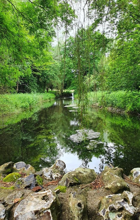 Nearby landmark, River view