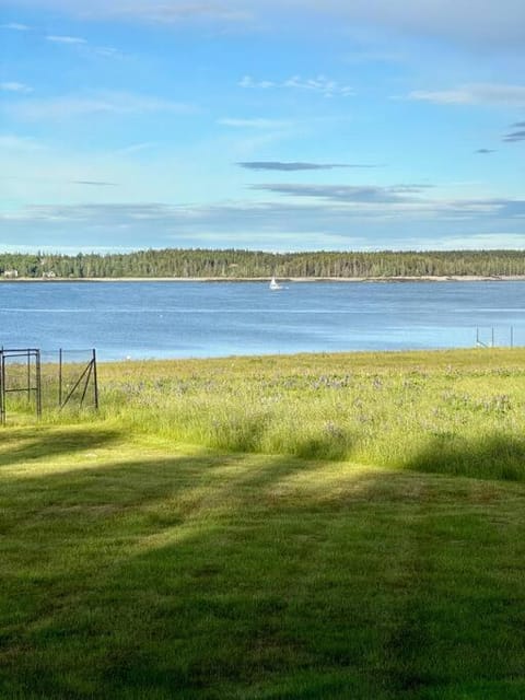 Natural landscape, Sea view