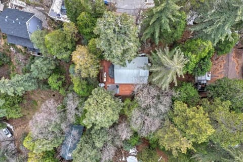 Property building, Spring, Day, Natural landscape, Bird's eye view, Garden, Garden view