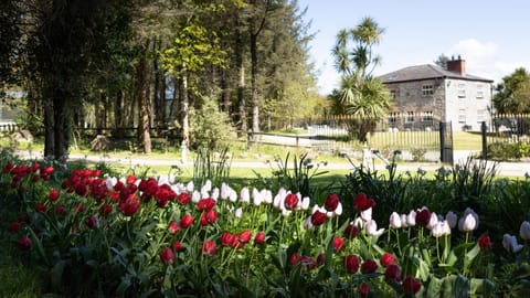 Property building, Natural landscape, Garden, Garden view