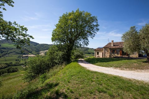 Property building, Natural landscape