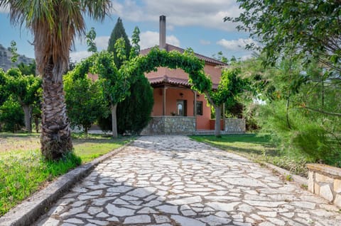 Property building, Natural landscape, Garden