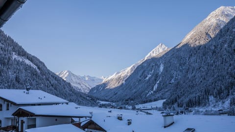 Neighbourhood, Natural landscape, Winter, View (from property/room), Mountain view