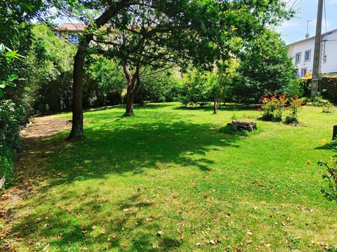 Natural landscape, Garden, Garden view