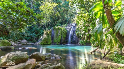 Nearby landmark, Natural landscape