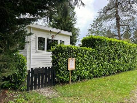 Property building, Spring, Day, Garden, Garden view